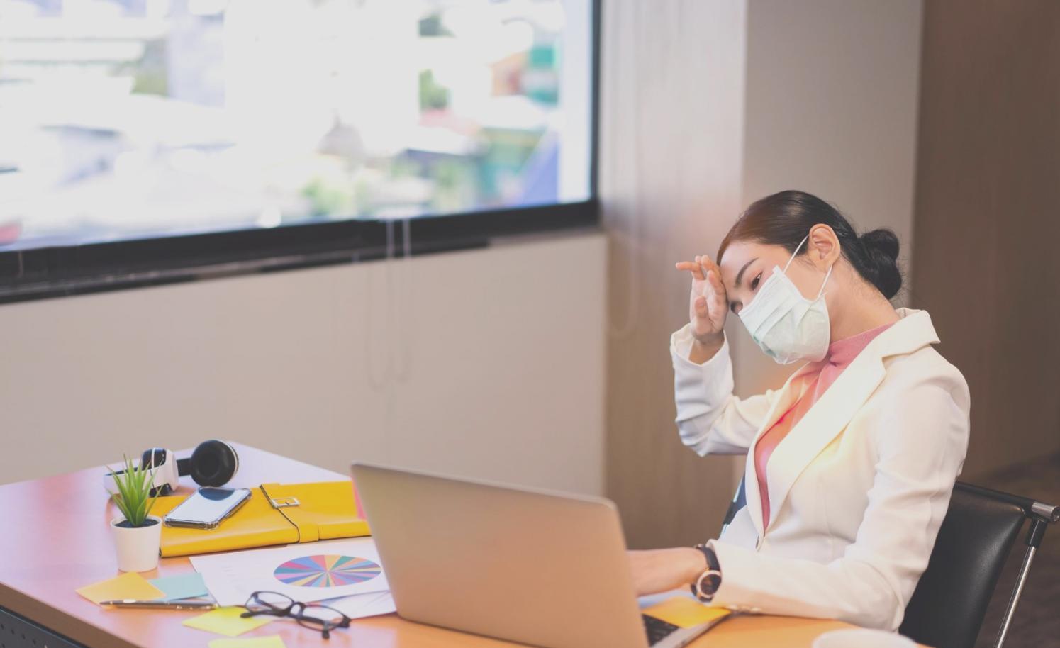 Environnement de travail avec analyses et données SEO